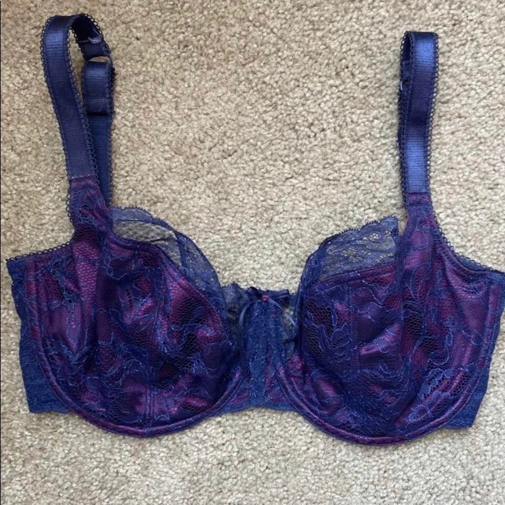 Panache Sienna Bra 30GG
